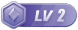 LV2 等级-LV2-停车技术员