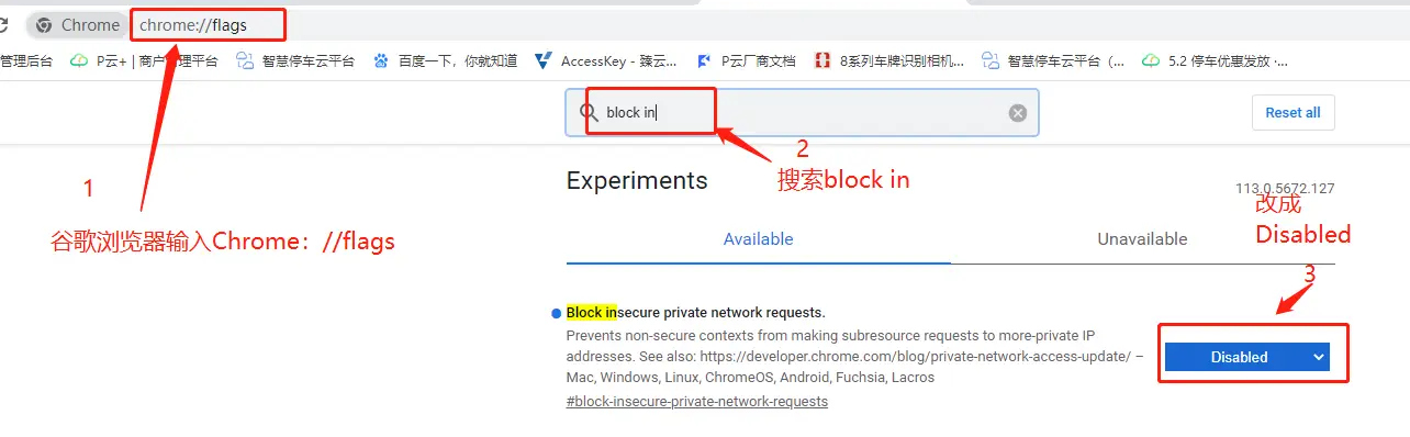 云平台局域网看视频浏览器设置
